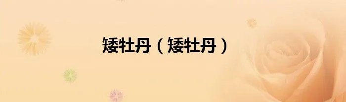 矮牡丹（矮牡丹）