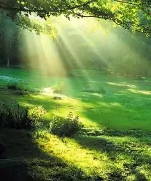 地球演化中有哪些超乎人想象的现象?