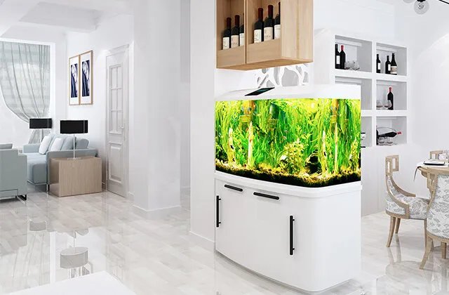 佳宝水族箱如何改过滤 佳宝水族箱过滤改造