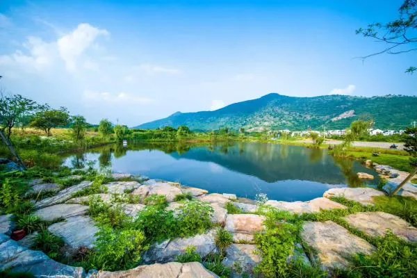 安徽省为什么会撤销巢湖市？