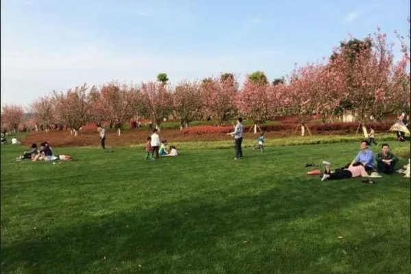 朱丹怀二胎疑压力大，你觉得女子怀孕是不是很辛苦？