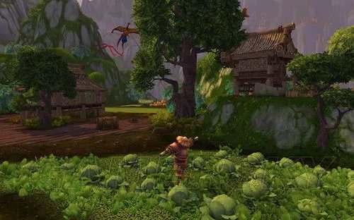 《魔兽世界》四风谷任务流程