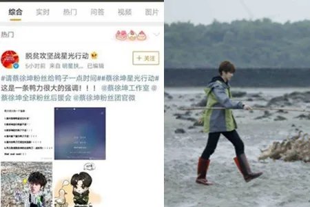 蔡徐坤回应赶鸭子 这都要快成为自己的副业了