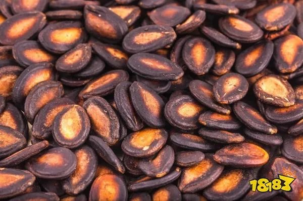 一般我们吃的零食西瓜子是夏天常吃的西瓜里的籽吗？