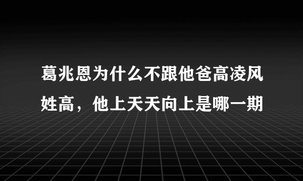 葛兆恩为什么不跟他爸高凌风姓高,他上天天向上是哪一期
