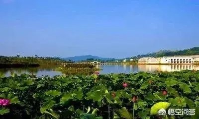 你喜欢郴州吗？