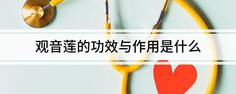 观音莲的功效与作用 观音莲的功效与作用是什么
