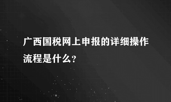 广西国税网上申报的详细操作流程是什么?