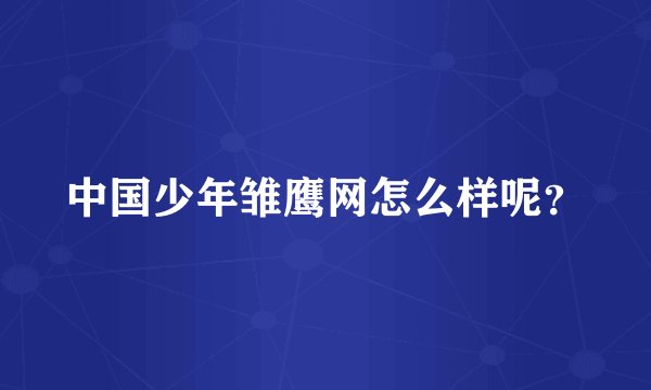 中国少年雏鹰网怎么样呢?