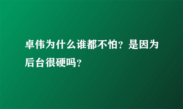 卓伟为什么谁都不怕？是因为后台很硬吗？