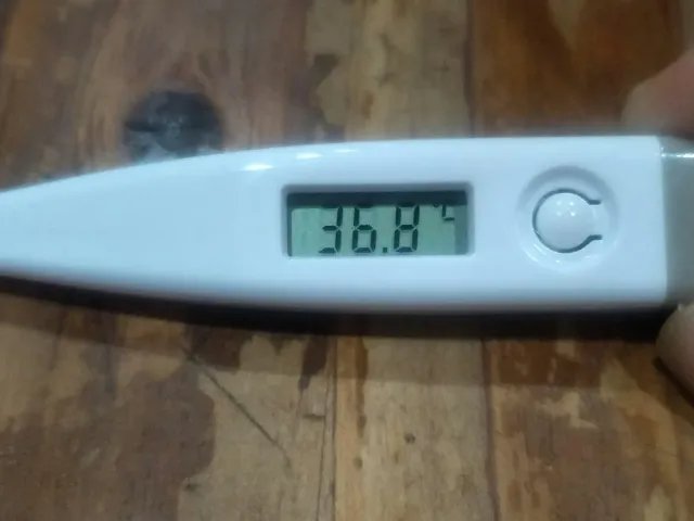 备孕期必看的排卵期体温曲线图,准确测定每一天排卵状态