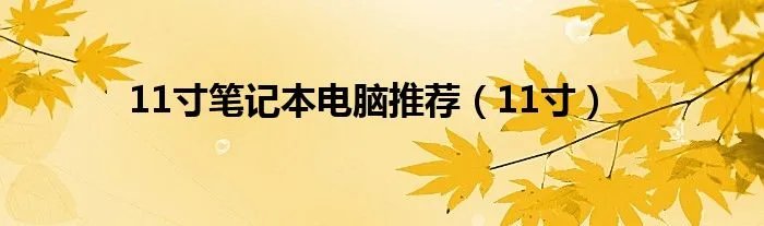 11寸笔记本电脑推荐(11寸)