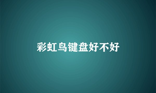 彩虹鸟键盘好不好
