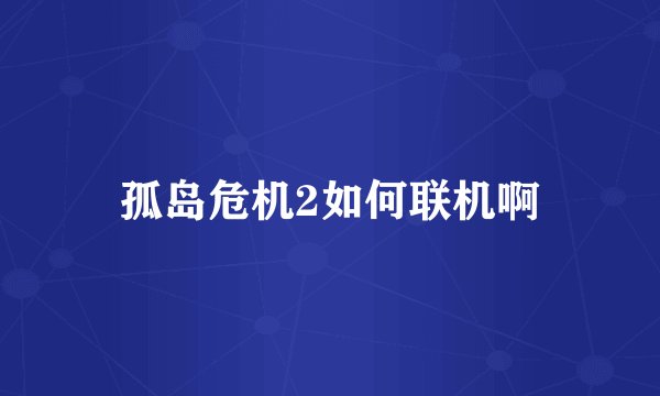 孤岛危机2如何联机啊