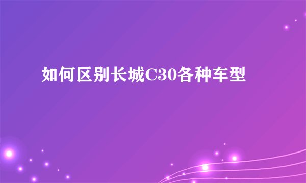 如何区别长城C30各种车型