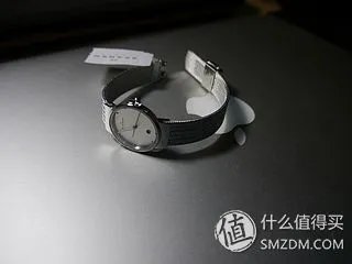 北欧风情 SKAGEN 诗格恩 女式腕表 355SSS1