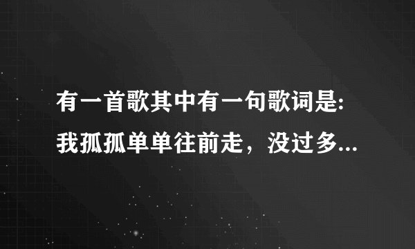 有一首歌其中有一句歌词是:我孤孤单单往前走，没过多久就低下头。歌名是什么？