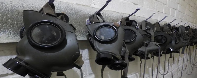 防毒面具根据什么动物的脸做的