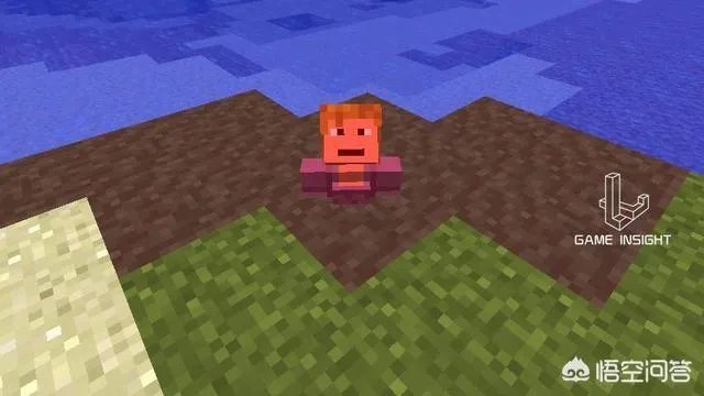 我的世界村民罕见现象