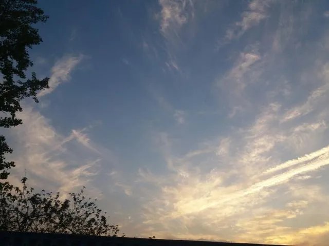 北戴河拆除“巴铁试验线”，你怎么看？