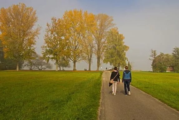 2020年立秋是几点几分 今年什么时候立秋