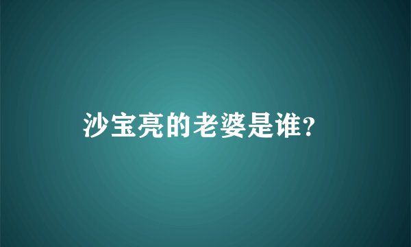 沙宝亮的老婆是谁？