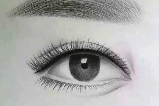 眼皮抽脂手术什么价格