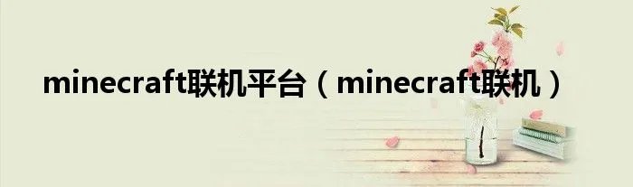 minecraft联机平台（minecraft联机）