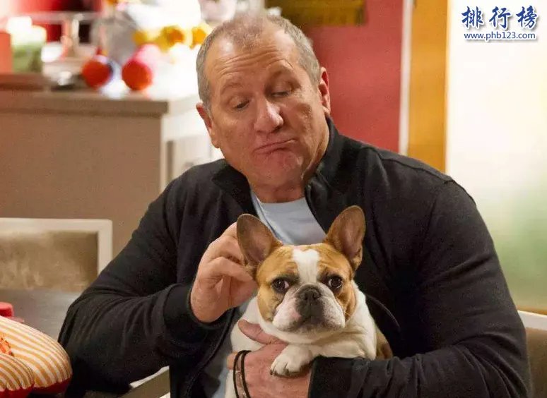 2017美剧男演员收入排行榜 美剧收入最高男演员是谁?