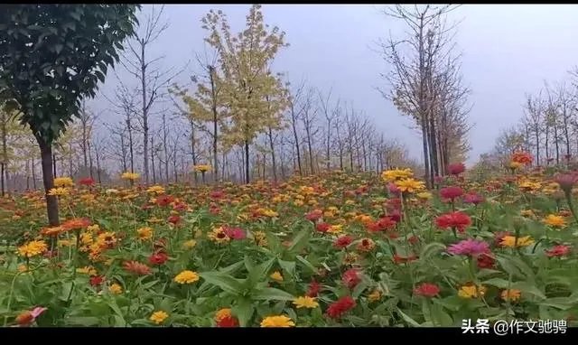 初中教师上课迟到。被校长打耳光怎么维权？