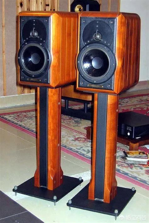 专业音响品牌有什么?