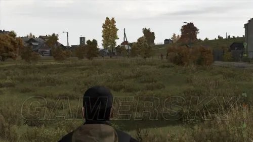 《武装突袭2：DayZ》新手图文指南