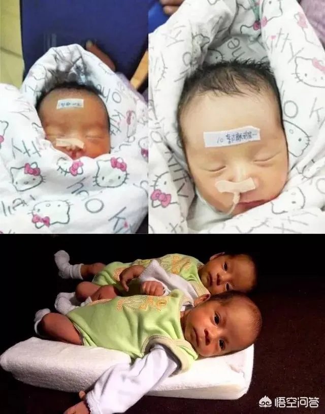 关于51岁烈士母亲生双胞胎被骂，你怎么看？