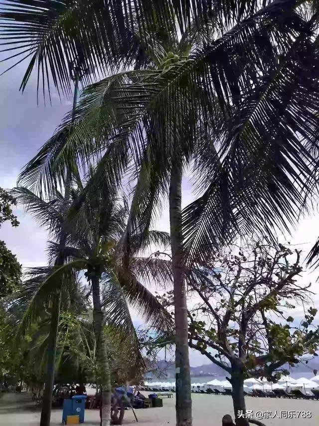 把车开到没人的地方走走还需要戴口罩吗？