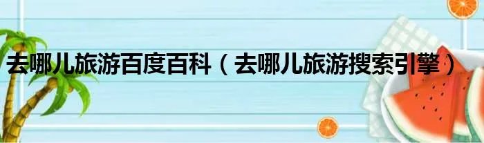 去哪儿旅游百度百科（去哪儿旅游搜索引擎）