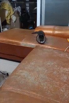 国庆内涵囧图云飞系列 性感妹子解锁新姿势可喜可贺