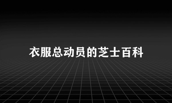 衣服总动员的芝士百科
