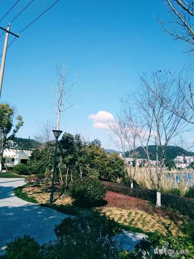 景区宝更名提谱旅行