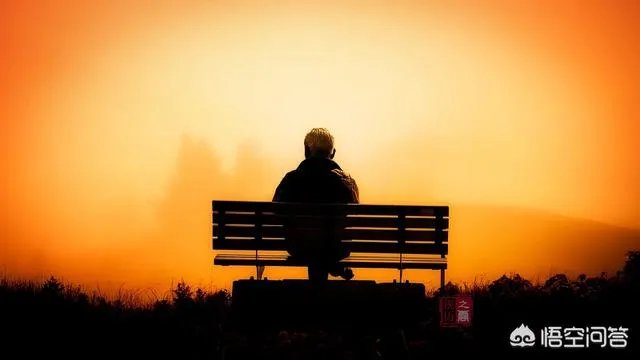 上海一公交车司机捡到10万美金，最终找到失主是一名有精神病史的老人，这事你怎么看？