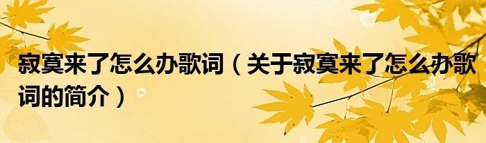 寂寞来了怎么办歌词（关于寂寞来了怎么办歌词的简介）