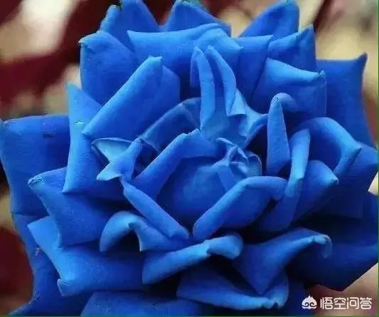 下联:人生难得一光年,如何对上联?