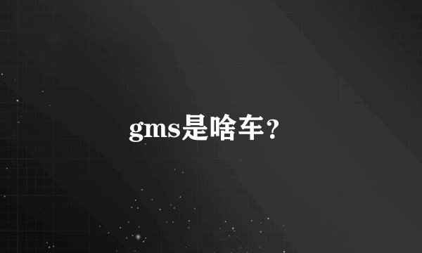 gms是啥车？