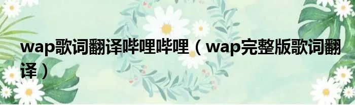 wap歌词翻译哔哩哔哩（wap完整版歌词翻译）