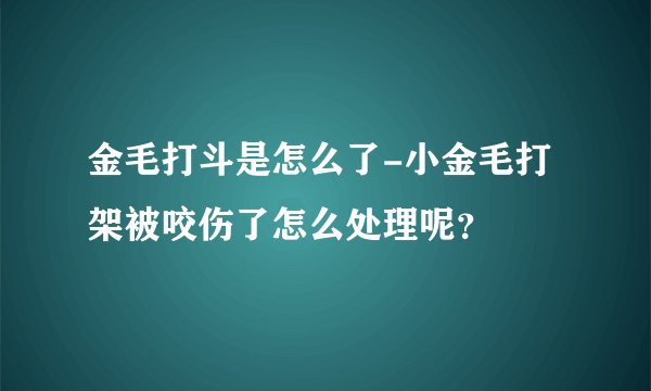 金毛打斗是怎么了-小金毛打架被咬伤了怎么处理呢？