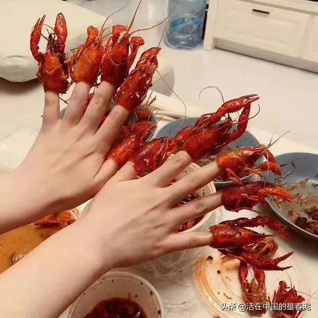 “人民网四问”后，迪士尼硬气回应：“不接受调解、不更改规定”，你怎么看？