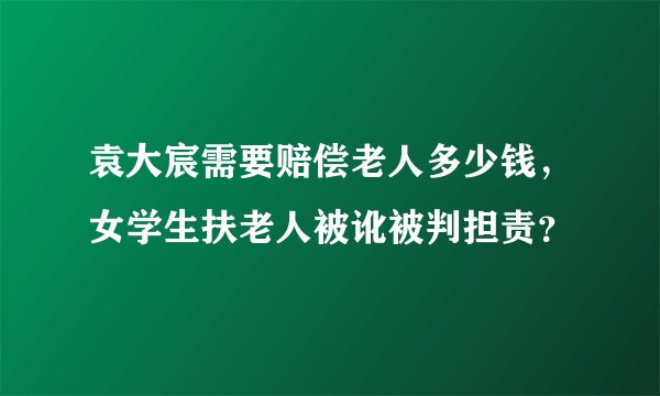 袁大宸需要赔偿老人多少钱，女学生扶老人被讹被判担责？