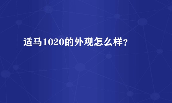 适马1020的外观怎么样？