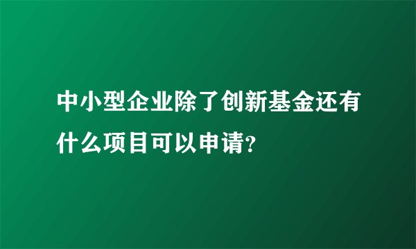 中小型企业除了创新基金还有什么项目可以申请？