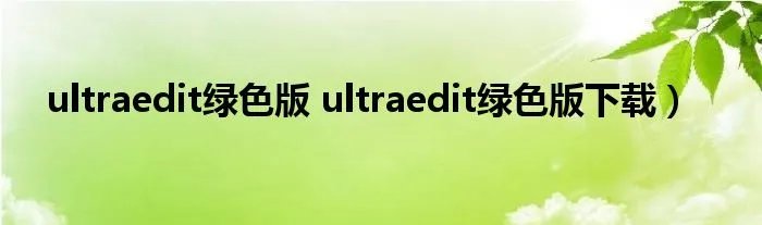 ultraedit绿色版 ultraedit绿色版下载）