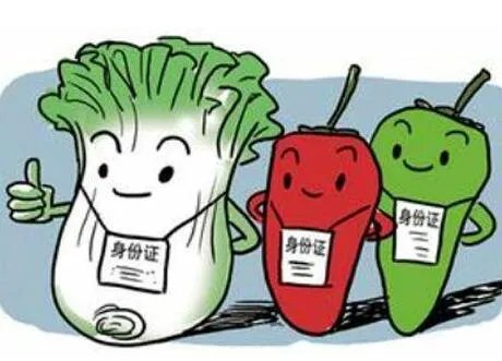 95后女大学生返乡卖面条月收超6万,她是如何做到的?